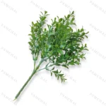 بوته اناری سبز