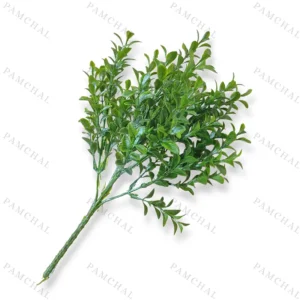 بوته اناری سبز