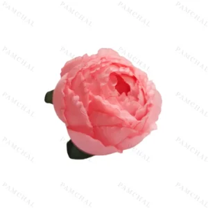 سرگل پائونیا مرجانی