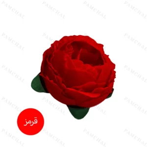 سرگل پائونیا قرمز