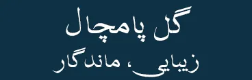 گل پامچال
